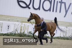 25R13_07991 thumbnail