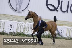 25R13_07992 thumbnail