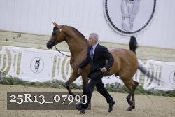 25R13_07993 thumbnail