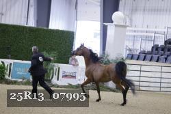 25R13_07995 thumbnail