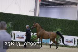 25R13_07997 thumbnail