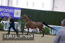 25R13_07998 thumbnail
