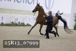 25R13_07999 thumbnail