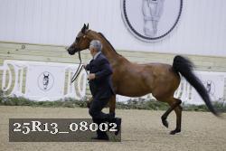 25R13_08002 thumbnail