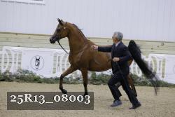 25R13_08003 thumbnail