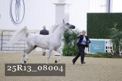 25R13_08004 thumbnail