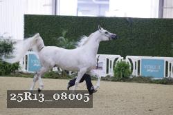25R13_08005 thumbnail