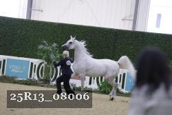 25R13_08006 thumbnail