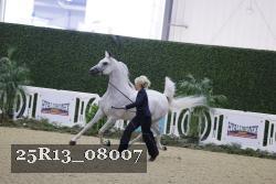 25R13_08007 thumbnail
