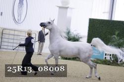 25R13_08008 thumbnail