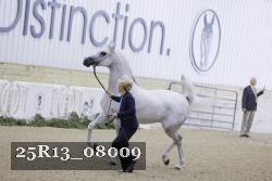 25R13_08009 thumbnail