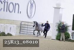 25R13_08010 thumbnail