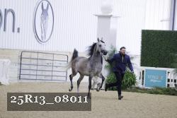 25R13_08011 thumbnail