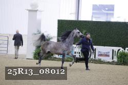 25R13_08012 thumbnail