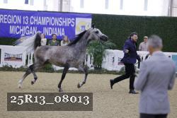 25R13_08013 thumbnail