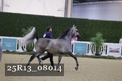 25R13_08014 thumbnail
