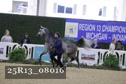 25R13_08016 thumbnail