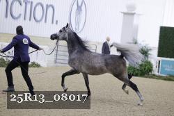 25R13_08017 thumbnail