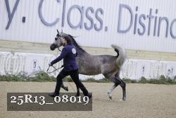 25R13_08019 thumbnail