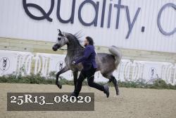 25R13_08020 thumbnail