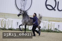 25R13_08021 thumbnail
