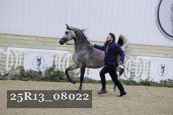25R13_08022 thumbnail