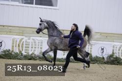 25R13_08023 thumbnail