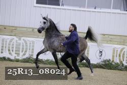 25R13_08024 thumbnail