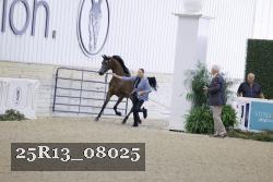 25R13_08025 thumbnail