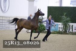 25R13_08026 thumbnail