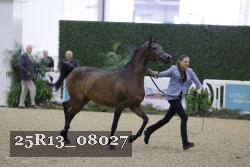 25R13_08027 thumbnail