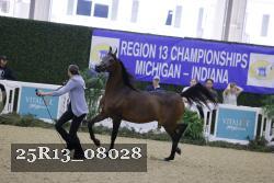 25R13_08028 thumbnail