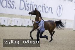 25R13_08030 thumbnail