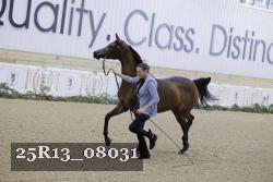 25R13_08031 thumbnail