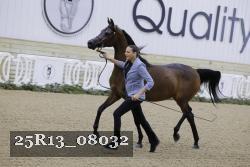 25R13_08032 thumbnail
