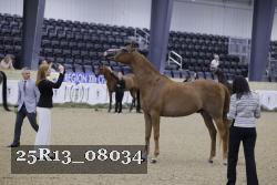 25R13_08034 thumbnail