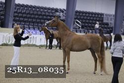 25R13_08035 thumbnail