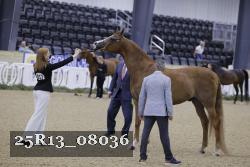 25R13_08036 thumbnail