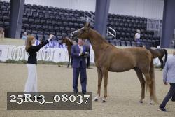 25R13_08037 thumbnail