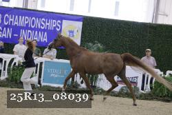 25R13_08039 thumbnail
