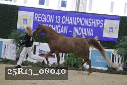 25R13_08040 thumbnail