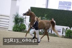 25R13_08042 thumbnail
