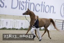 25R13_08043 thumbnail