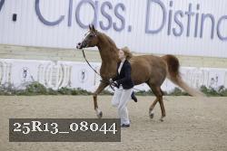 25R13_08044 thumbnail