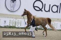 25R13_08045 thumbnail