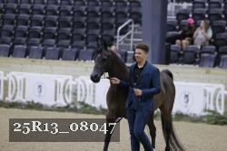 25R13_08047 thumbnail