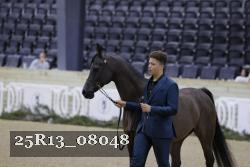 25R13_08048 thumbnail