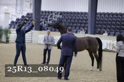 25R13_08049 thumbnail