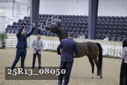 25R13_08050 thumbnail