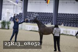 25R13_08052 thumbnail
